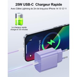 LumFocus Chargeur Rapide iPhone 14 13 Pro Max, [Certifié MFi] Chargeur Mural USB C PD 25W avec câble de Charge Rapide USB C vers