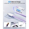 LumFocus Chargeur Rapide iPhone 14 13 Pro Max, [Certifié MFi] Chargeur Mural USB C PD 25W avec câble de Charge Rapide USB C vers