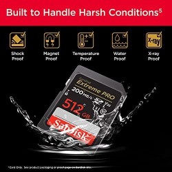 SanDisk Extreme PRO Carte SDXC 1 To (Carte SD V30, Vitesse de Transfert jusqu'à 200 Mo/s, UHS-I, 4K UHD Videos, RescuePRO Deluxe