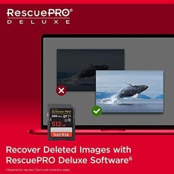 SanDisk Extreme PRO Carte SDXC 1 To (Carte SD V30, Vitesse de Transfert jusqu'à 200 Mo/s, UHS-I, 4K UHD Videos, RescuePRO Deluxe