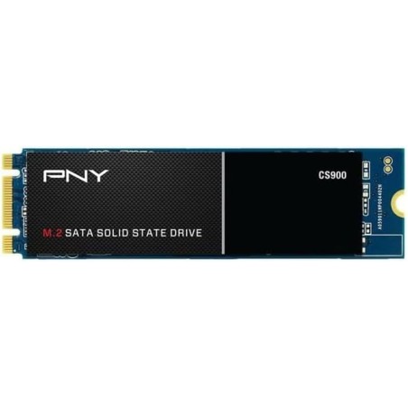 PNY CS900 M.2 SATA III SSD Interne 250Go, Vitesse de Lecture jusqu'à 535 Mo/s, Vitesse d'Ecriture jusqu'à 500 Mo/s