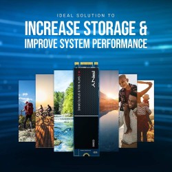 PNY CS900 M.2 SATA III SSD Interne 500Go, Vitesse de Lecture jusqu'à 550 Mo/s, Vitesse d'Ecriture jusqu'à 500 Mo/s