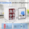 YASHE Mini Frigo de Chambre, 4 Litres/ 6 Canettes, Petit Frigo Thermoélectrique CA/CC pour Boissons, Nourriture, Beauté, Bureau,