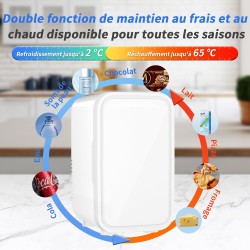 YASHE Mini réfrigérateur, 6 litres/8 canettes 220-240 V AC/DC Réfrigérateur thermoélectrique portable pour chambre à coucher, so