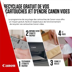 Canon Cartouche Encre - PG-545 Cartouche d'encre Noire Authentique pour imprimante - (1 x Cartouche)