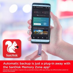 SanDisk Ultra Dual Drive Go, 256 Go Flash Drive, Clé USB C (pour Android Smartphone Stockage, Tablettes, Mac et PC, jusqu'à 400 