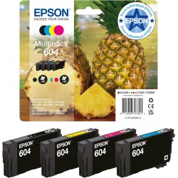 Epson Ink/604 Pineapple C13T10G64010 Multipack
