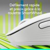 Logitech signature m650 l souris sans fil grande taille - pour mains larges, pile 2 ans, clics silencieux, boutons de côtés prog