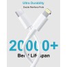 Câble USB C vers Lightning 1M-Lot de 2, [Certifié MFi] Cable iPhone USB C Cable Chargeur USBC Câble Lightning Cable Charge Rapid