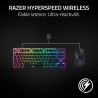 Razer DeathAdder V3 HyperSpeed - Souris e-Sport Gaming Ergonomique sans Fil Ultra légère avec 26K DPI (55g léger, revêtement Sof
