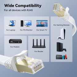 BUSOHE Câble Ethernet Cat 8 6M, Câble Réseau LAN Gigabit RJ45 Plat Haute Vitesse, Cordon de Brassage Internet 40Gbps 2000MHz pou