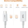 Amazon Basics Câble Adaptateur Femelle USB 3.1 Gen 1 USB-C vers USB-A, Haut débit 5 Gbit/s, certifié USB-If, pour Ordinateurs Po