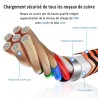 Aioneus Cable iPhone Chargeur iPhone [0.5M+1M+1.5M+2M] Cable Lightning USB MFi Certifié Nylon Tressé Cordon Charge Rapide Fil Ul