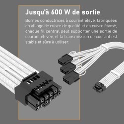 EZDIY-FAB Câble d'extension d'alimentation GPU, Connecteur PCIe 5.0 16 broches (12+4) 12VHPWR mâle vers 3X PCIE 8 broches pour R