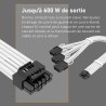 EZDIY-FAB Câble d'extension d'alimentation GPU, Connecteur PCIe 5.0 16 broches (12+4) 12VHPWR mâle vers 3X PCIE 8 broches pour R