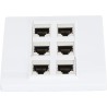 Cat 6 Plaque Murale Ethernet avec 6 Ports de Port Féminin à Femelle Cat6 pour les Installations de Réseau à Domicile et Bureau