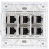 Cat 6 Plaque Murale Ethernet avec 6 Ports de Port Féminin à Femelle Cat6 pour les Installations de Réseau à Domicile et Bureau