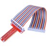 ARCELI Carte d'extension RPi GPIO Breakout + Câble Ruban + Adaptateur GPIO Type T assemblé 20cm FC40 Câble Ruban Plat 40 Broches