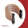 AZDelivery Jumper Wire Cavalier Câble M2M pour Microcontrôleur Breadboard – 3 en 1 Multicouleur Wire Compatible avec Arduino et 