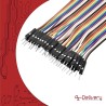 AZDelivery Jumper Wire Cavalier Câble M2M pour Microcontrôleur Breadboard – 3 en 1 Multicouleur Wire Compatible avec Arduino et 