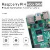 Raspberry Pi 4 4 Go Starter Kit Noir | Alimentation Officielle 15W | Boîtier Officiel | Carte mémoire de 64 Go | Câble 4k Micro 