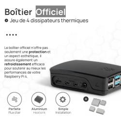 Raspberry Pi 4 4 Go Starter Kit Noir | Alimentation Officielle 15W | Boîtier Officiel | Carte mémoire de 64 Go | Câble 4k Micro 