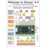 Teensy 4.0 (sans Épingles)