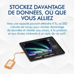 LaCie Rugged Mini, 2To, 2.5", Portable External Hard Drive, for PC Mac iPad & iPhone, Data Rescue Service (STMF2000400)