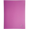 Exacompta - Réf. 8830E - 1 Protège-documents OPAK - 30 pochettes cristal lisse - 60 vues - pour format A4 - dimensions 24 x 32 c