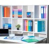 Exacompta - Réf. 8861E - Carton de 8 Protège-documents OPAK - 60 pochettes cristal lisse - 120 vues - pour format A4 - dimension