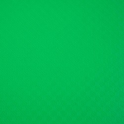 EXACOMPTA Protège-documents en polypropylène 5/10e OPAK pochettes Cristal 200 vues - A4 Vert clair