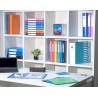 EXACOMPTA Protège-documents en polypropylène 5/10e OPAK pochettes Cristal 200 vues - A4 Vert clair