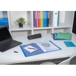 EXACOMPTA Protège-documents en polypropylène 5/10e OPAK pochettes Cristal 200 vues - A4 Vert clair
