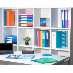 Exacompta - Réf. 8825E - Carton de 20 Protèges-documents OPAK - 20 pochettes cristal lisse - 40 vues - pour format A4 - dimensio
