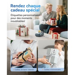 NIIMBOT B1 Étiqueteuse Portable, Identification Automatique pour Larges Étiquettes Autocollante, Facile à Utiliser pour Le Burea