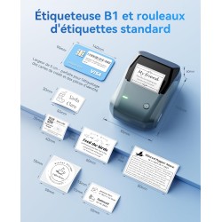 NIIMBOT B1 Étiqueteuse Portable, Identification Automatique pour Larges Étiquettes Autocollante, Facile à Utiliser pour Le Burea