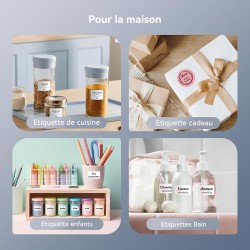 NIIMBOT B1 Étiqueteuse Portable, Identification Automatique pour Larges Étiquettes Autocollante, Facile à Utiliser pour Le Burea