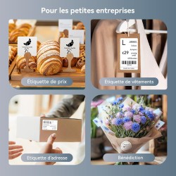 NIIMBOT B1 Étiqueteuse Portable, Identification Automatique pour Larges Étiquettes Autocollante, Facile à Utiliser pour Le Burea