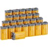 Amazon Basics Lot de 24 piles alcalines 9 V, 9V/6LR61, durée de conservation de 5 ans, pour détecteur de fumée/CO, électroniques