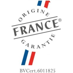 SAUTER Four encastrable pyrolyse SOP6210X Guide culinaire, 73 litres, porte froide