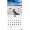 Finocam – Calendrier mural 2026 30 x 30 cm 1 Mois par page Janvier – Décembre 2026 + Sept.-Déc. 2025 (4 mois) réduits | Calendri