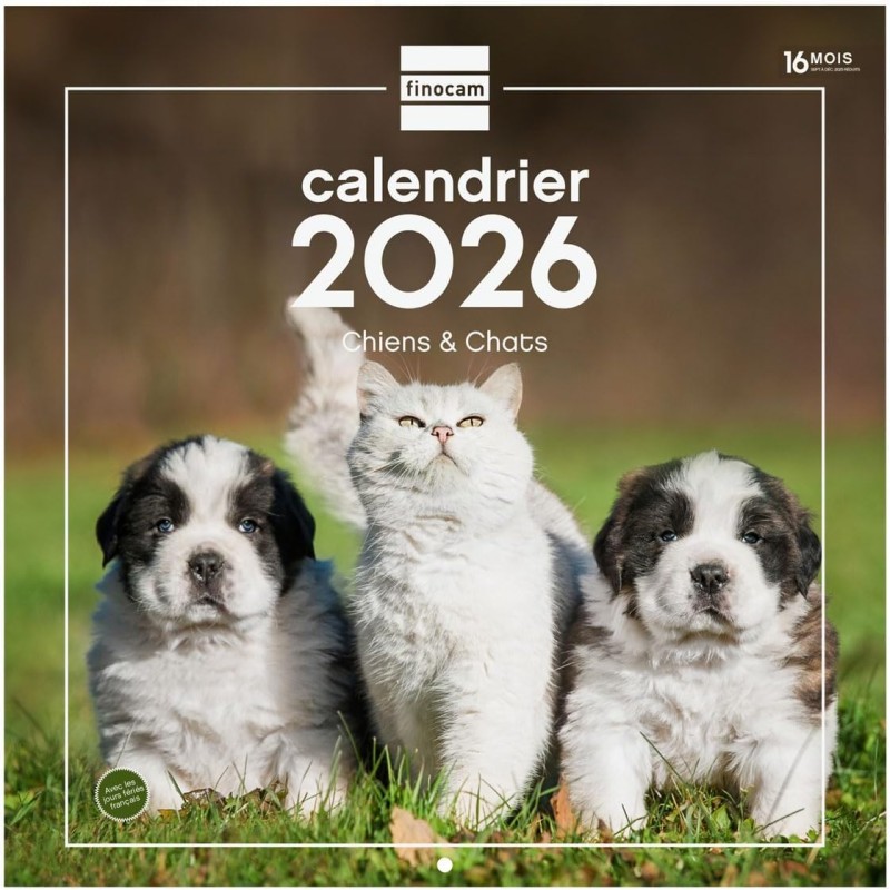 Finocam – Calendrier mural 2026 30 x 30 cm 1 Mois par page Janvier – Décembre 2026 + Sept.-Déc. 2025 (4 mois) réduits | Calendri