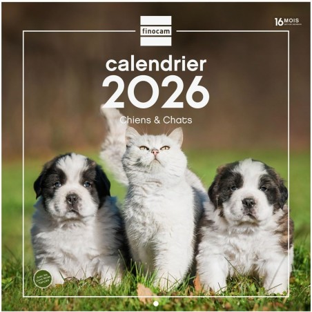Finocam – Calendrier mural 2026 30 x 30 cm 1 Mois par page Janvier – Décembre 2026 + Sept.-Déc. 2025 (4 mois) réduits | Calendri