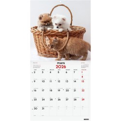 Finocam – Calendrier mural 2026 30 x 30 cm 1 Mois par page Janvier – Décembre 2026 + Sept.-Déc. 2025 (4 mois) réduits | Calendri