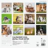 Finocam – Calendrier mural 2026 30 x 30 cm 1 Mois par page Janvier – Décembre 2026 + Sept.-Déc. 2025 (4 mois) réduits | Calendri