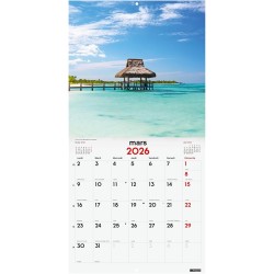 Finocam – Calendrier mural 2026 30 x 30 cm 1 Mois par page Janvier – Décembre 2026 + Sept.-Déc. 2025 (4 mois) réduits | Calendri