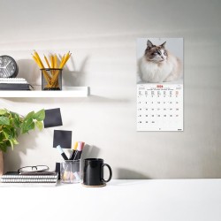 Finocam – Calendrier mural 2026 18 x 18 cm 1 Mois par page Janvier – Décembre 2026 + Sept.-Déc. 2025 (4 mois) réduits | Calendri