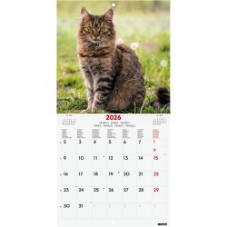 Finocam – Calendrier mural 2026 18 x 18 cm 1 Mois par page Janvier – Décembre 2026 + Sept.-Déc. 2025 (4 mois) réduits | Calendri