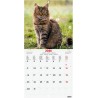 Finocam – Calendrier mural 2026 18 x 18 cm 1 Mois par page Janvier – Décembre 2026 + Sept.-Déc. 2025 (4 mois) réduits | Calendri