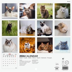 Finocam – Calendrier mural 2026 18 x 18 cm 1 Mois par page Janvier – Décembre 2026 + Sept.-Déc. 2025 (4 mois) réduits | Calendri